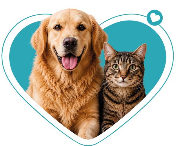 Cão e gato representando o cuidado da MediVet