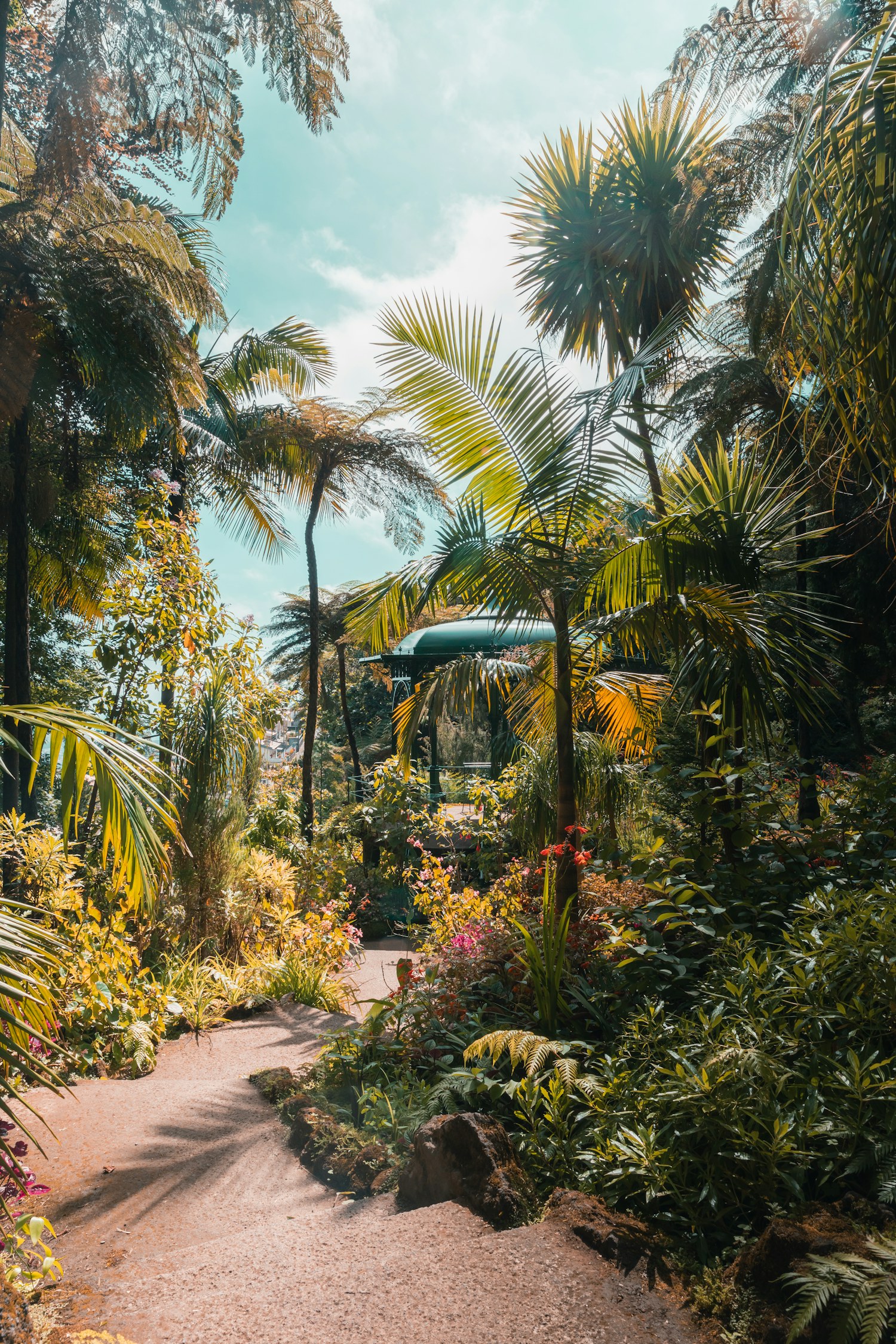 Caminho sinuoso em jardim tropical