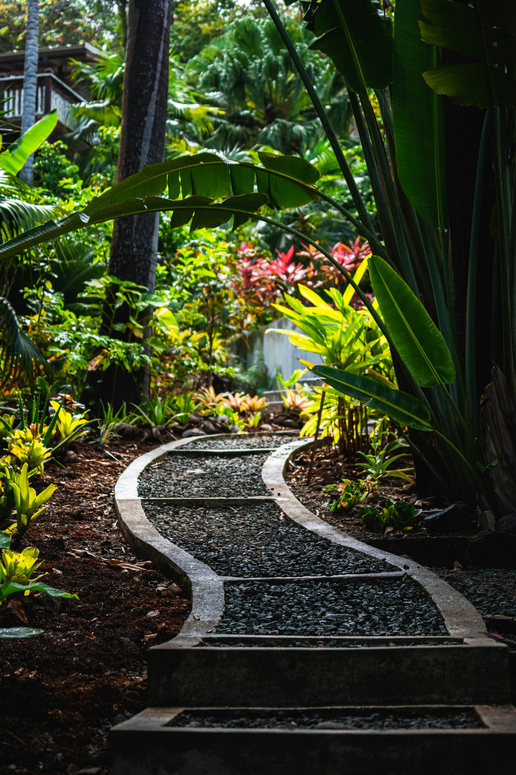 Jardim tropical com caminho entre plantas